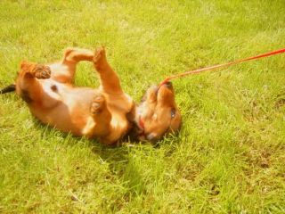 Nasz �wiat stan�� na glowie gdy pojawi� 